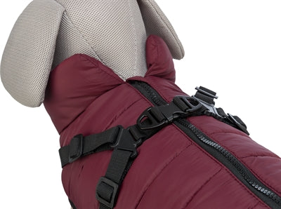 Trixie dog coat pirou with sangria harness