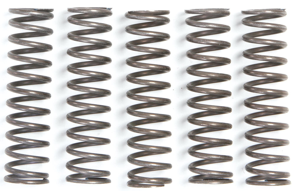 TRW clutch spring set clutch spring kit mef105-5