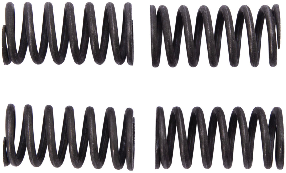 TRW clutch spring set clutch spring kit mef331-4