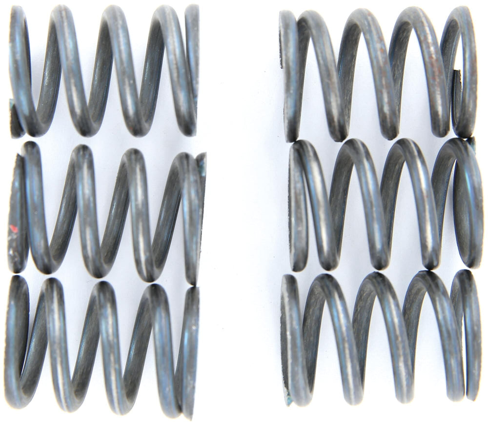 TRW clutch spring set clutch spring kit mef153-6