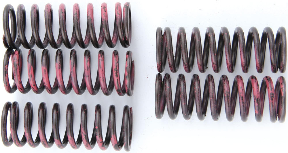 TRW clutch spring set clutch spring kit mef315-5