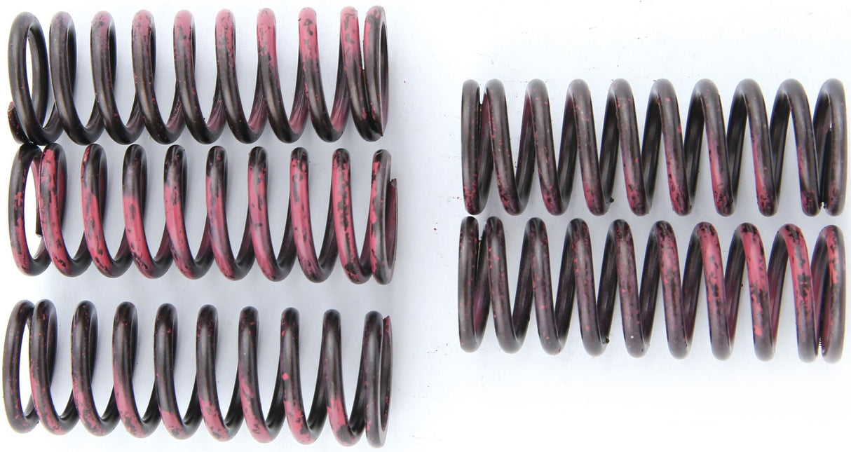 TRW clutch spring set clutch spring kit mef315-5