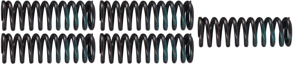 TRW clutch spring set clutch spring kit mef319-5