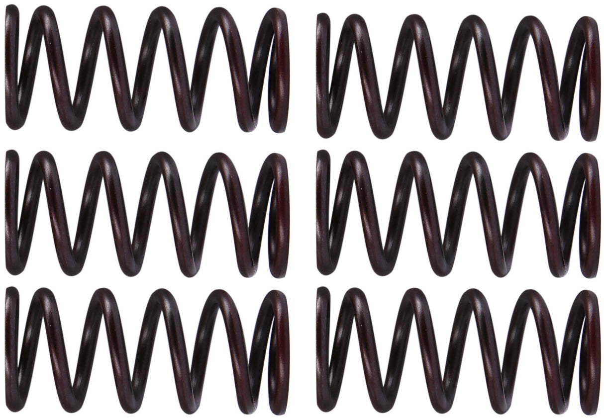 TRW clutch spring set clutch spring kit mef300-6