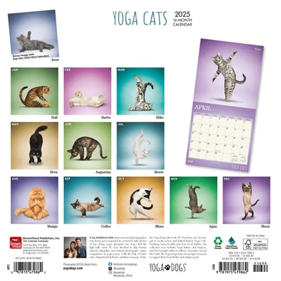 calendario gatti yoga 2025