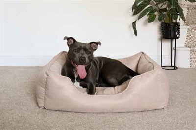 Rosewood 40 winks dog bed thin twill beige