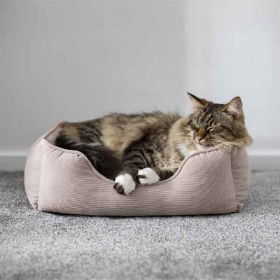 Rosewood 40 winks dog bed cord ribbed fabric beige