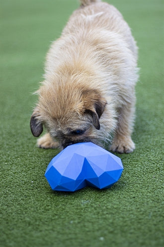 Battersea feeding ball heart rubber blue