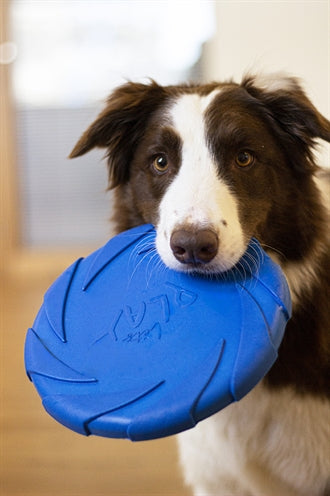 Battersea foam flyer blue