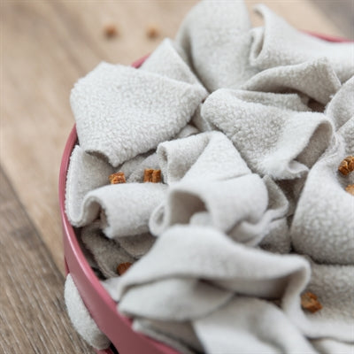 Trixie cat activity hide'n'sniff bowl plastic