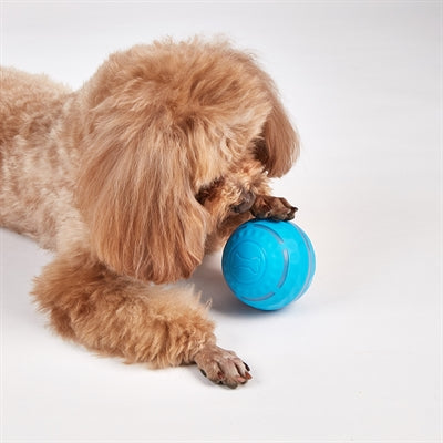 Fofos nabíjecí kuličkový míček pro psy