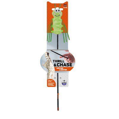 Fofos-Raupe bewegt sich