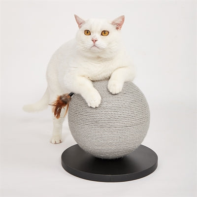 Polpetta di granchio Fofos