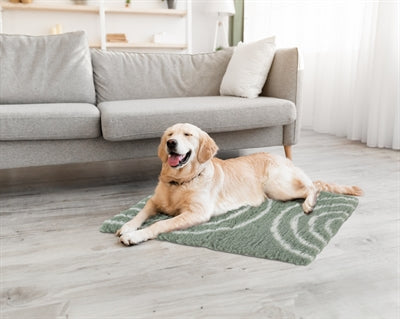 Zolux dog blanket vetbed bow green