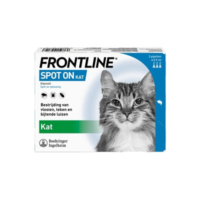 Frontline Kat Spot sur