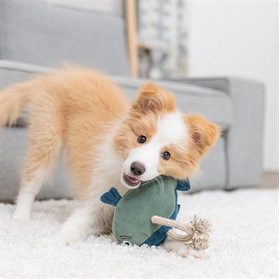 Trixie peixe couro com corda