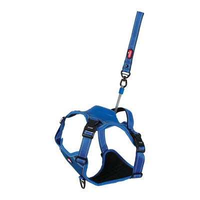 Zolux easyride dog harness blue
