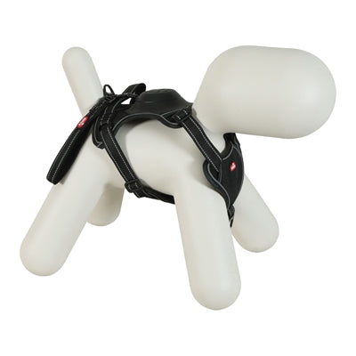 Szelki dla psa Zolux Easyride w kolorze czarnym