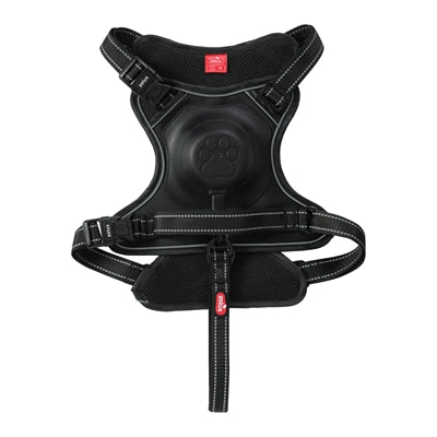 Szelki dla psa Zolux Easyride w kolorze czarnym