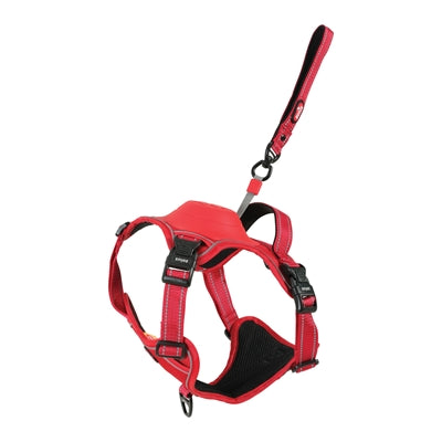 Zolux easyride dog harness red
