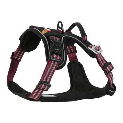 Zolux bvk Hundegurt Rot