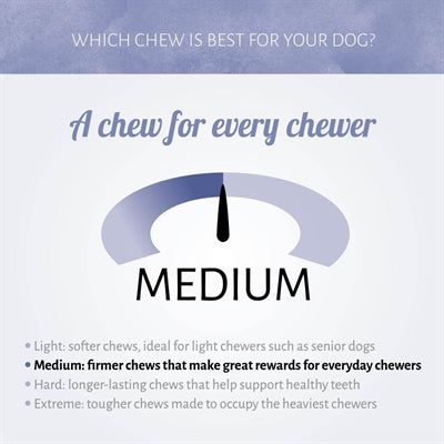 Antos jagnjetina v jurčki