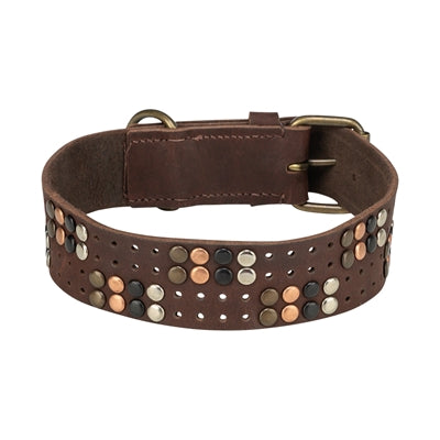 Trixie dog collar rivet rustic greased leather dark brown