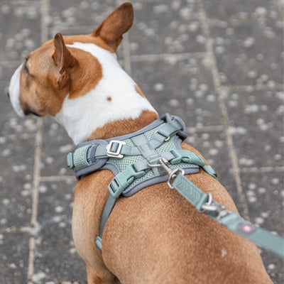 Trixie dog harness premium flexmesh wide chest sage green