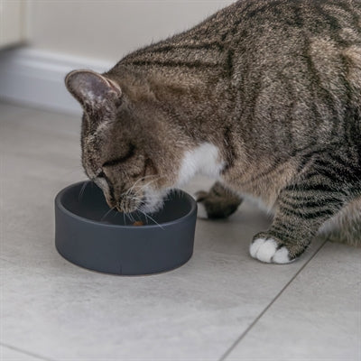 Trixie keramisk kattematskål assortert