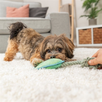 Trixie animal paw with rope green