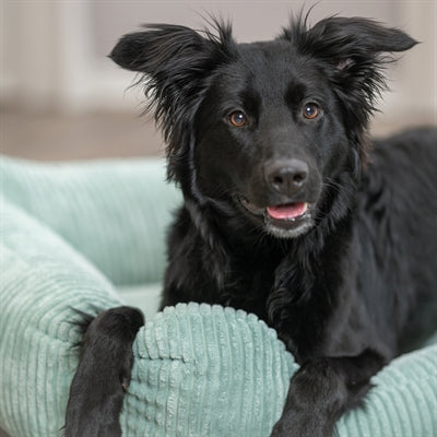 Trixie cama para perros jonna vital tejido acanalado verde salvia