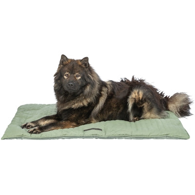 Trixie lounge mat marley sage green