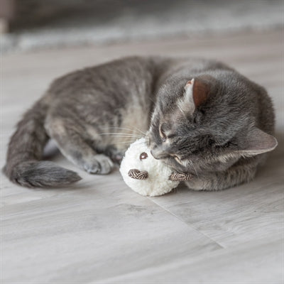 Trixie peluche osito con hierba gatera surtido