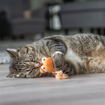 Trixie dragon with catnip plush assorted