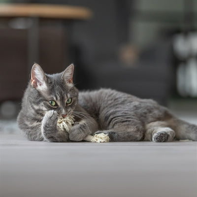 Trixie play rope with fringes assorted