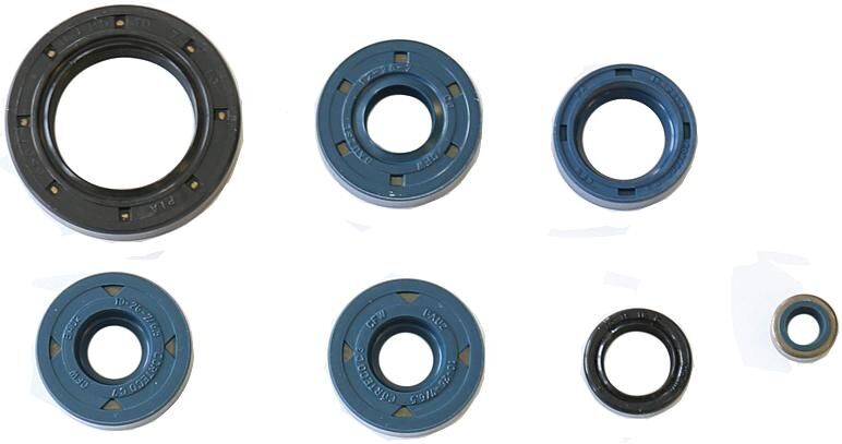 Athena motor-keerring set motorshield ds 650, 00-,