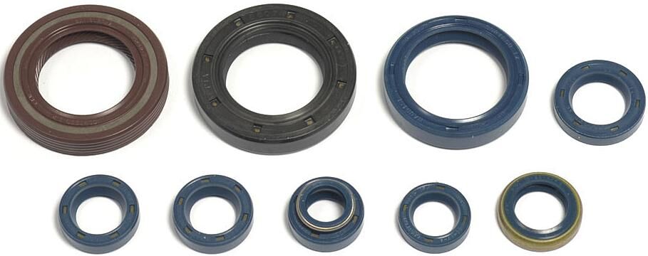 Athena engine seal set motor shield who 125, 93-96,