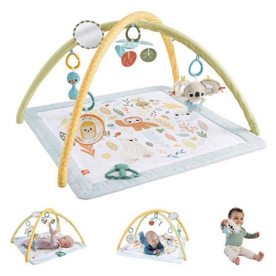 Fisher price simply senses baby gym