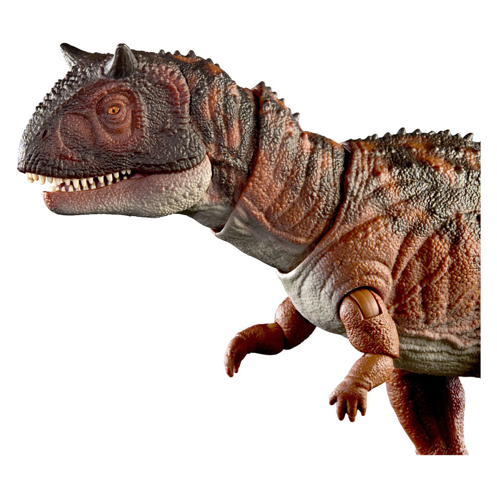 Mattel Jurassic World Hammond Collection Carnotaurus Dinosaur Play Figure