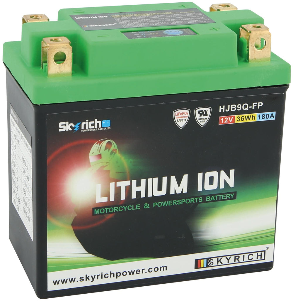 Skyrich lifepo4 batterij hjb9q-fp . battery hjb9-fpq-swi lithium