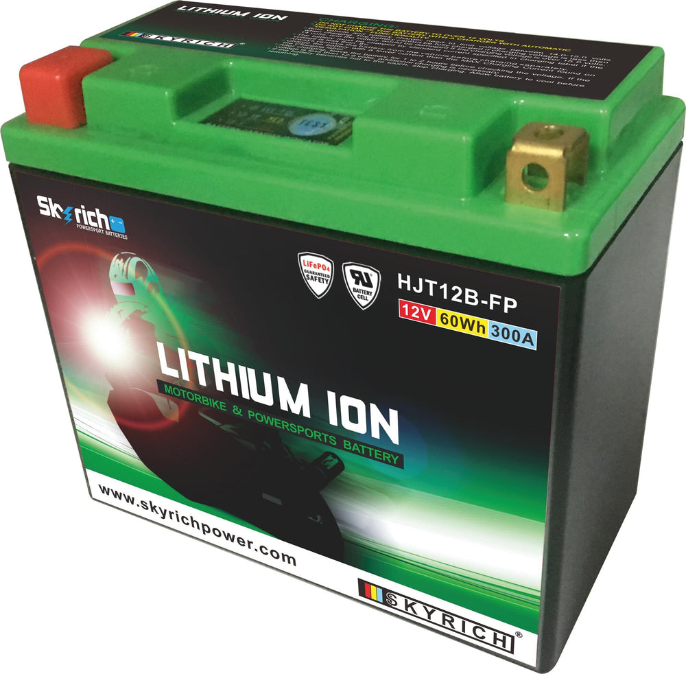 Skyrich lifepo4 batterij hjt12b-fp . battery hjt12b-fp-si lithium
