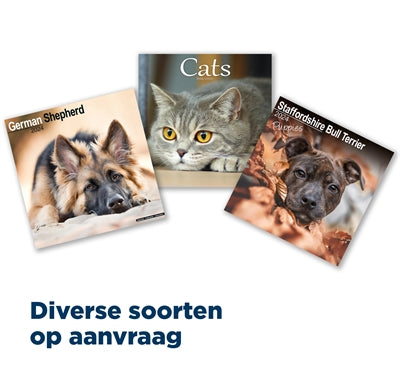 Calendário 2024 vários tipos sob consulta