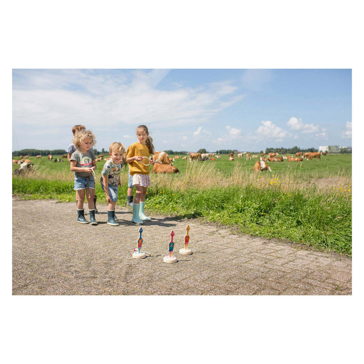 BS Toys Ringwerpen Birds Wood - Wurfspiel