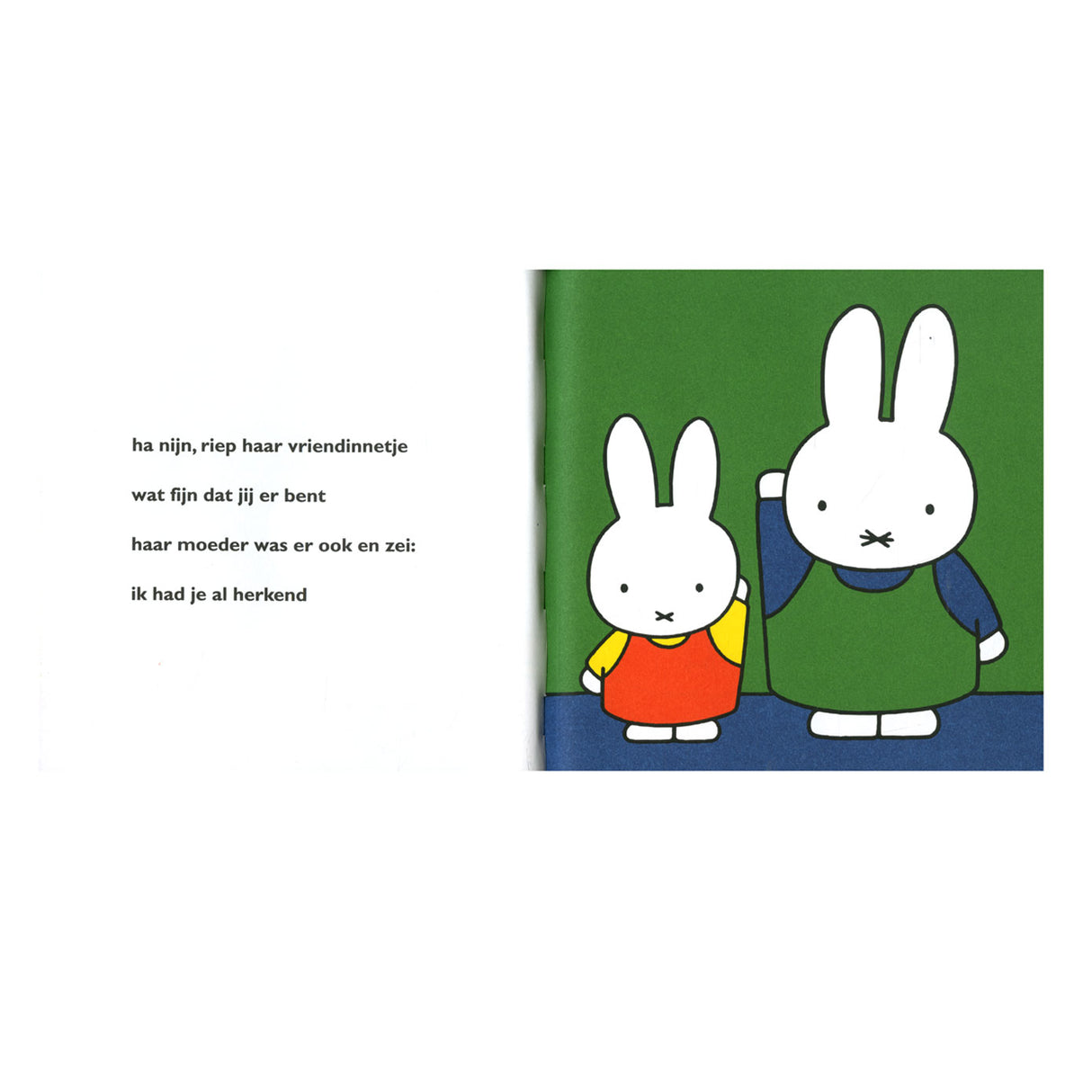 Central book house Miffy is staying the night