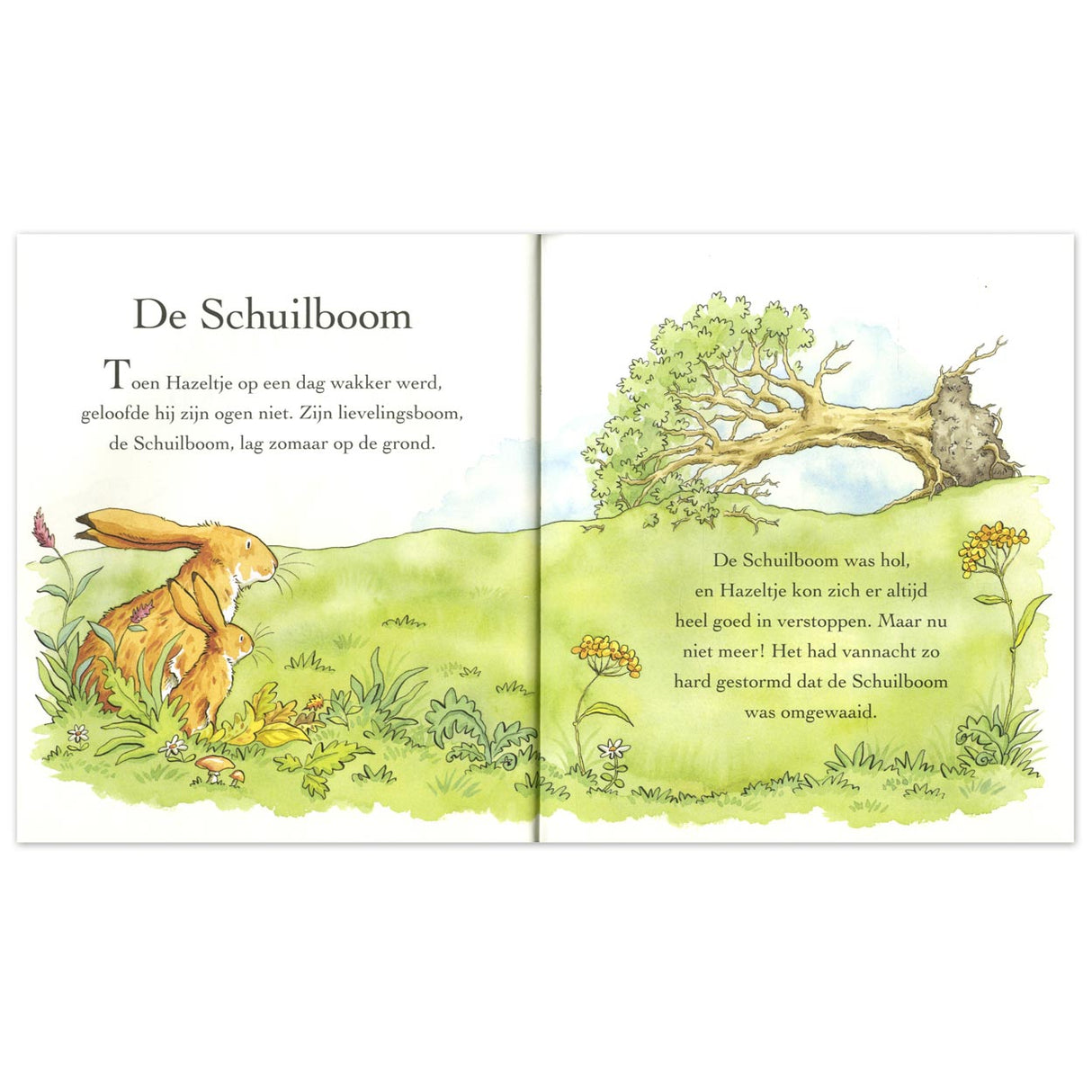 Central Book House Guess How Much I Love You Anytime, Anywhere