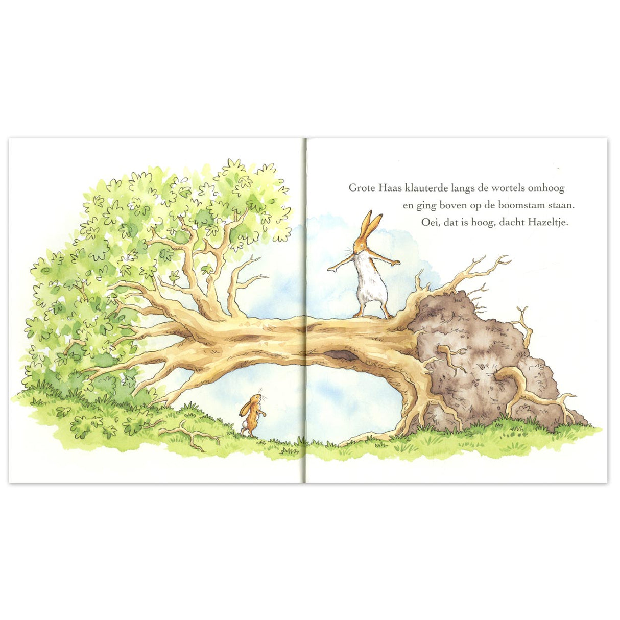 Central Book House Guess How Much I Love You Anytime, Anywhere