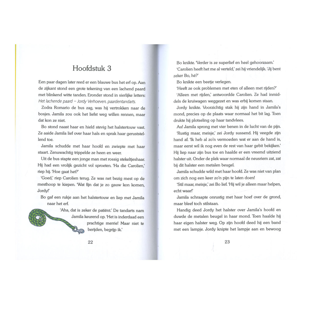 Kluitman manege de zonneh. de wilde pony