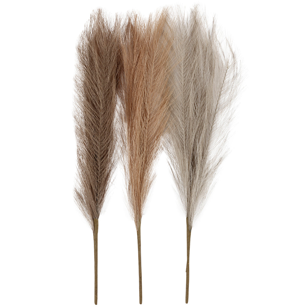 Creativ company pampas grass, l: 50 cm, light beige, light brown, light gray, 3 pieces 1 ball