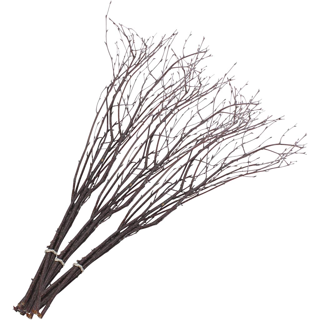 Birch branches, l: 50-60 cm, 20 pieces 1 box