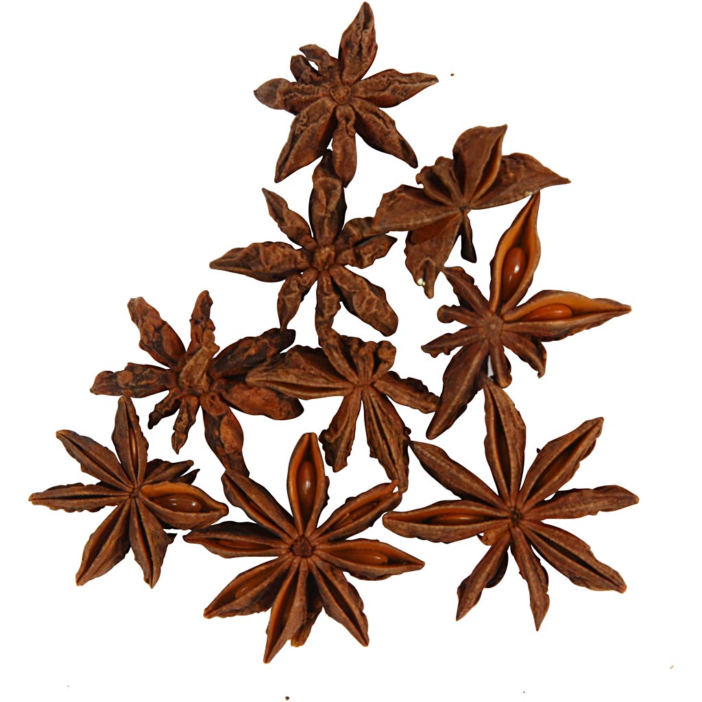 Creativ company star anise, 10 pieces 1 box